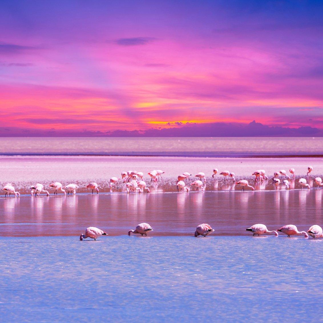 Flamingo International Airport exterior