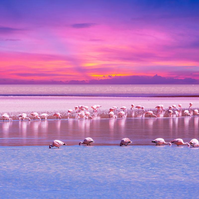 Flamingo International Airport exterior